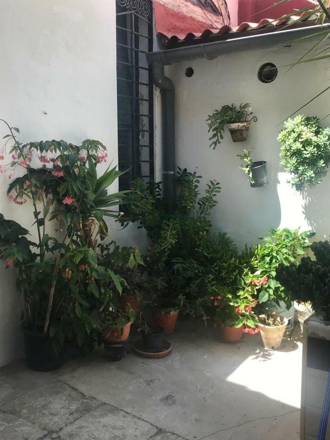 Mariniguez Apartament.