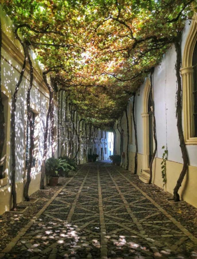 Vakantiehuis Mariniguez Apartament. Jerez de la Frontera